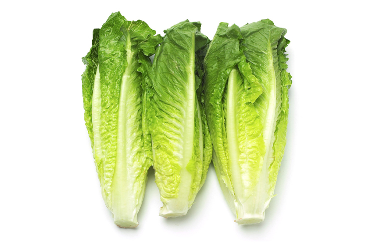 ROMAINE LETTUCE 300G +/-